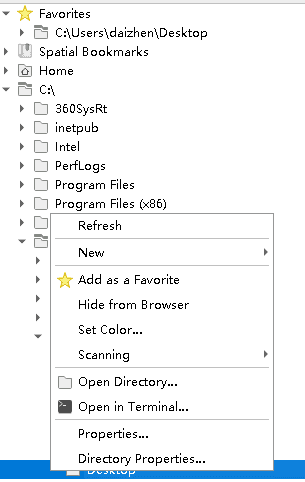 Adding directory to Favorites in Browser panel
